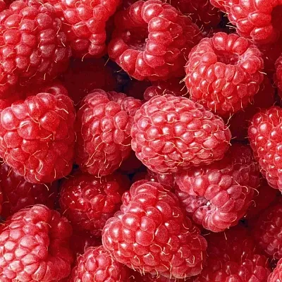 Летняя  Летняя в Химках